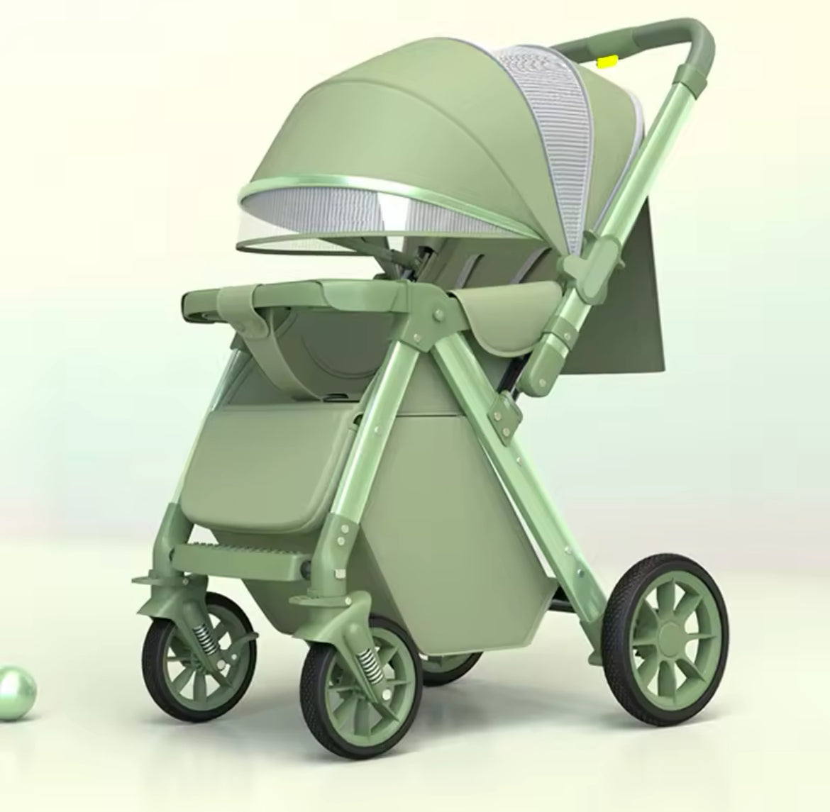 The Iris Luxury 2 Way Push Stroller.