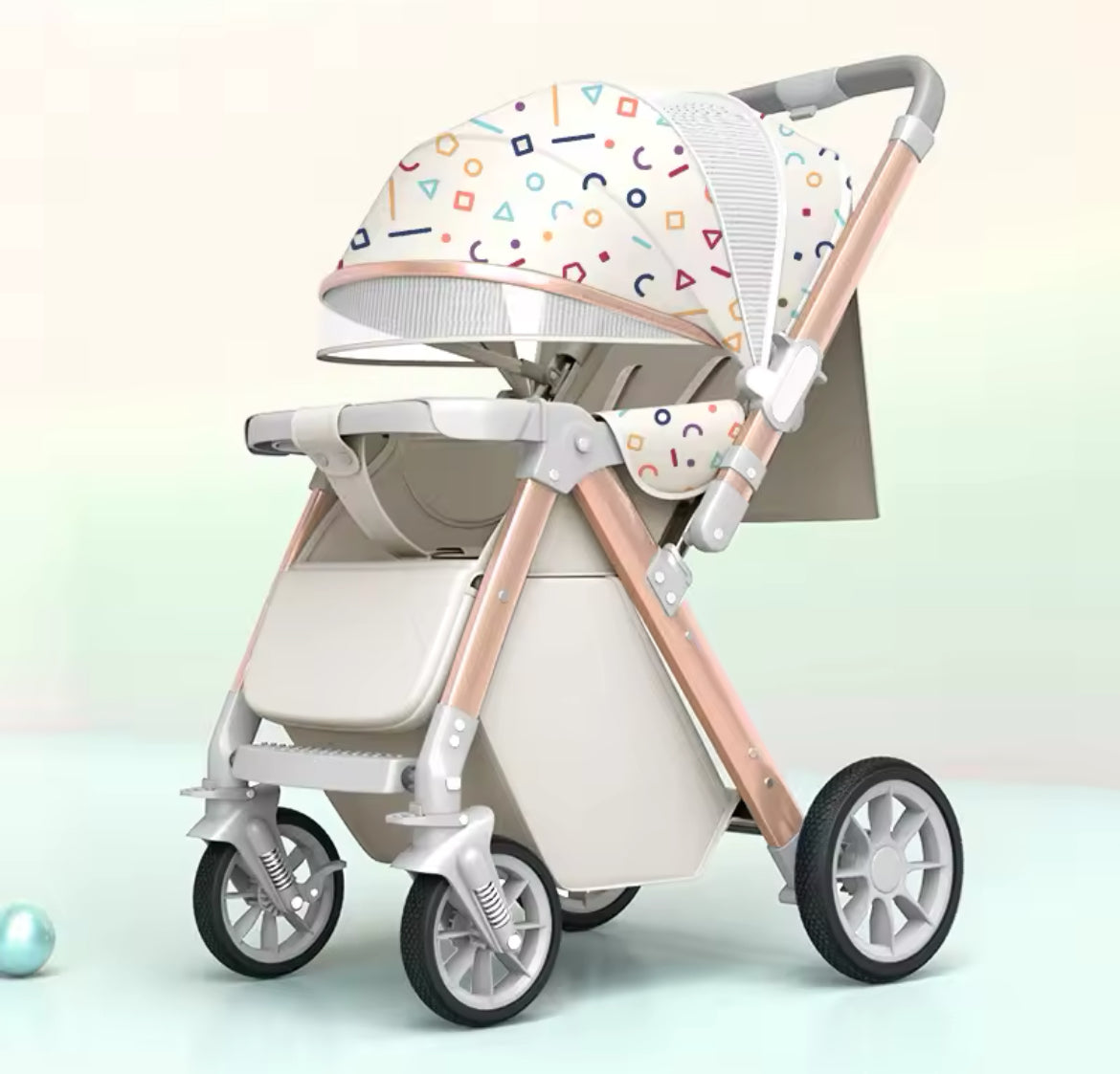 The Iris Luxury 2 Way Push Stroller.