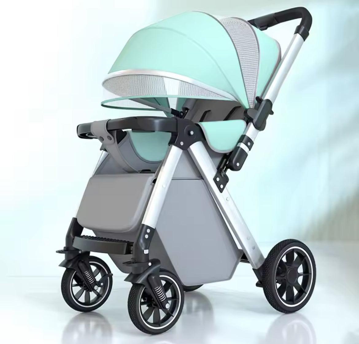 The Iris Luxury 2 Way Push Stroller.