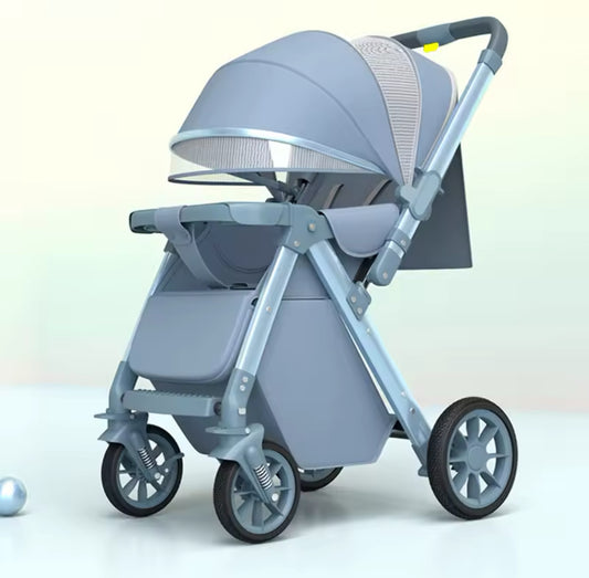 The Iris Luxury 2 Way Push Stroller.